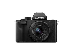 Panasonic LUMIX G100 4k Mirrorless Camera for Photo and Video