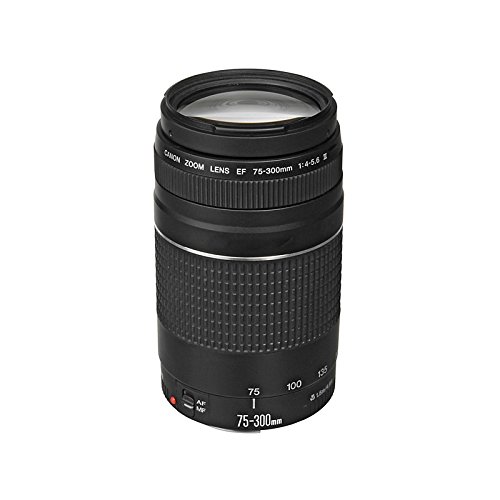 Canon EF 75-300mm f/4-5.6 III Telephoto Zoom Lens for Canon SLR Cameras Canon EF 75-300mm f/4-5.6 III Telephoto Zoom Lens for Canon SLR Cameras