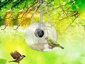 Bird Feeder with Camera