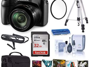 Panasonic Lumix DC-FZ80 4K Digital Camera