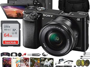 Sony Alpha a6000 Mirrorless Camera with 16-50mm Lens (ILCE6000L/B) + Filter Kit + 64GB Card + NPF-W50 Battery + Card Reader + Corel Photo Software + Case + Flex Tripod + Micro USB Cable + More